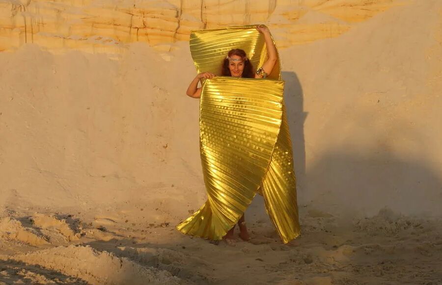 With Golden Wings on Setting Sun