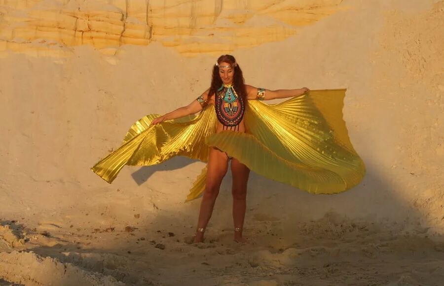 With Golden Wings on Setting Sun