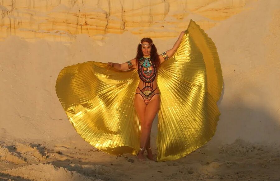 With Golden Wings on Setting Sun