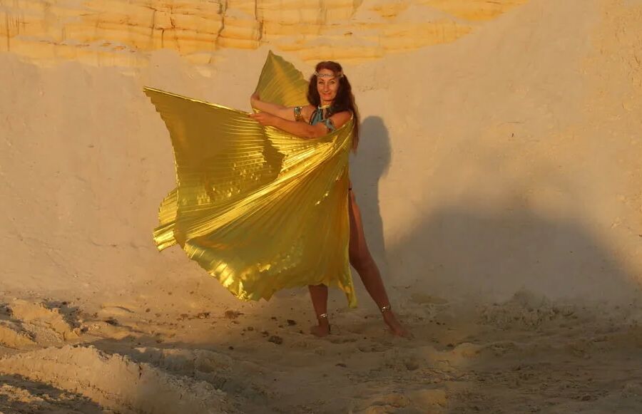 With Golden Wings on Setting Sun