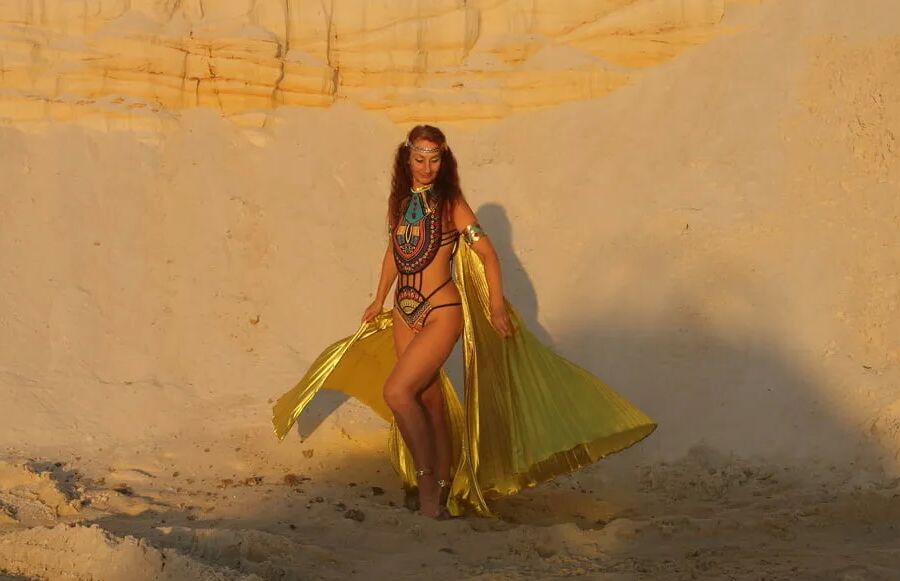 With Golden Wings on Setting Sun