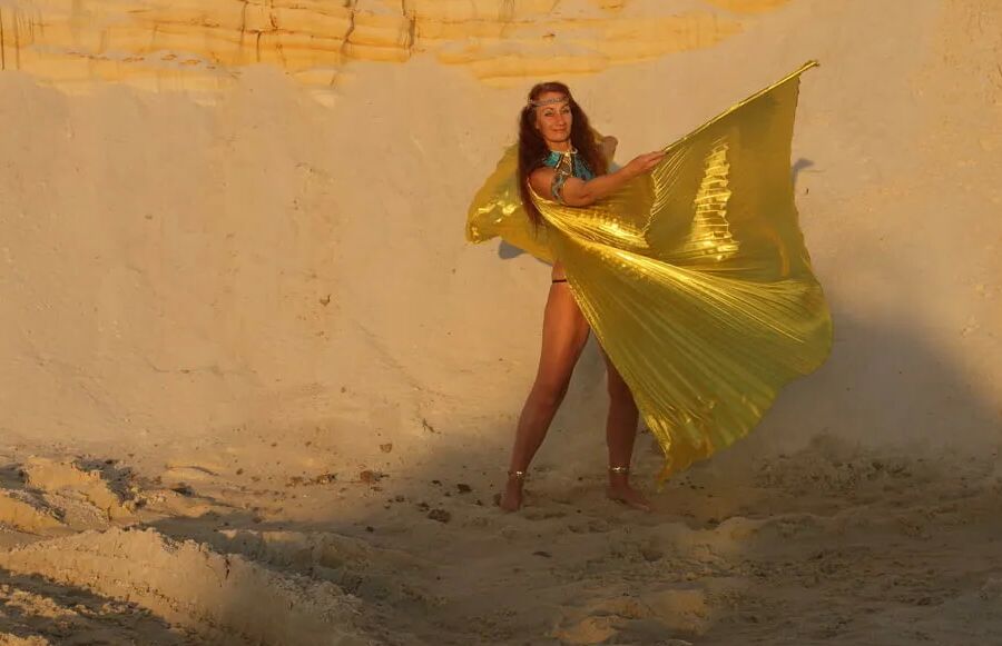With Golden Wings on Setting Sun