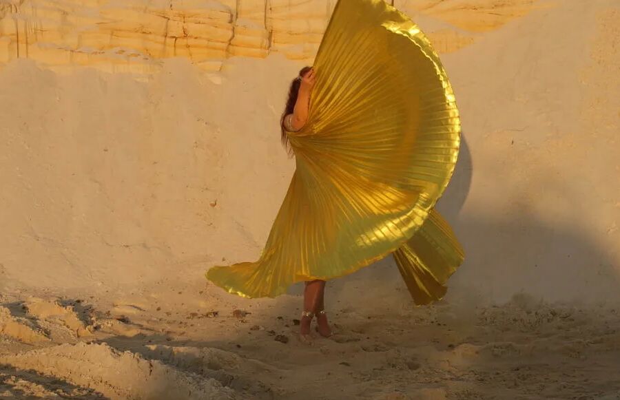 With Golden Wings on Setting Sun