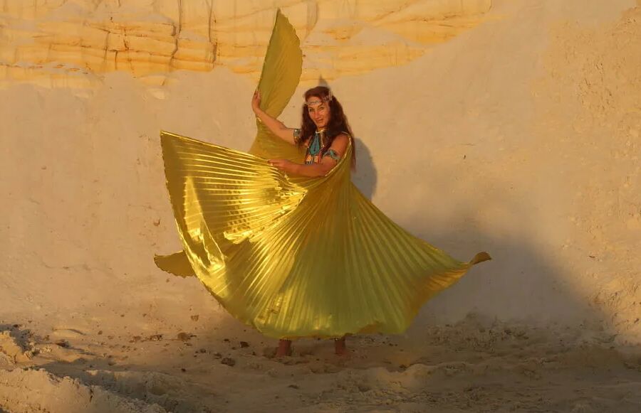 With Golden Wings on Setting Sun