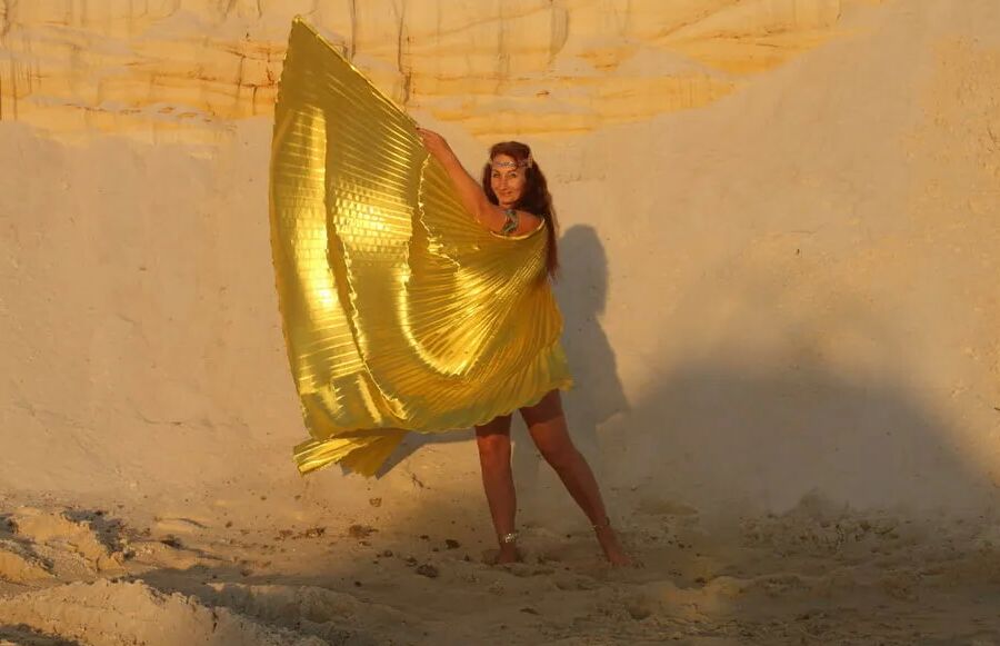 With Golden Wings on Setting Sun