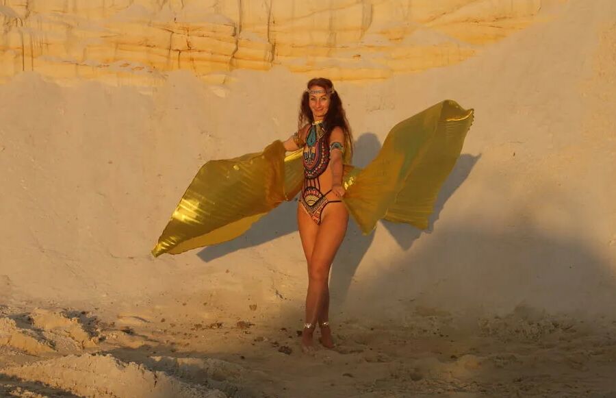 With Golden Wings on Setting Sun