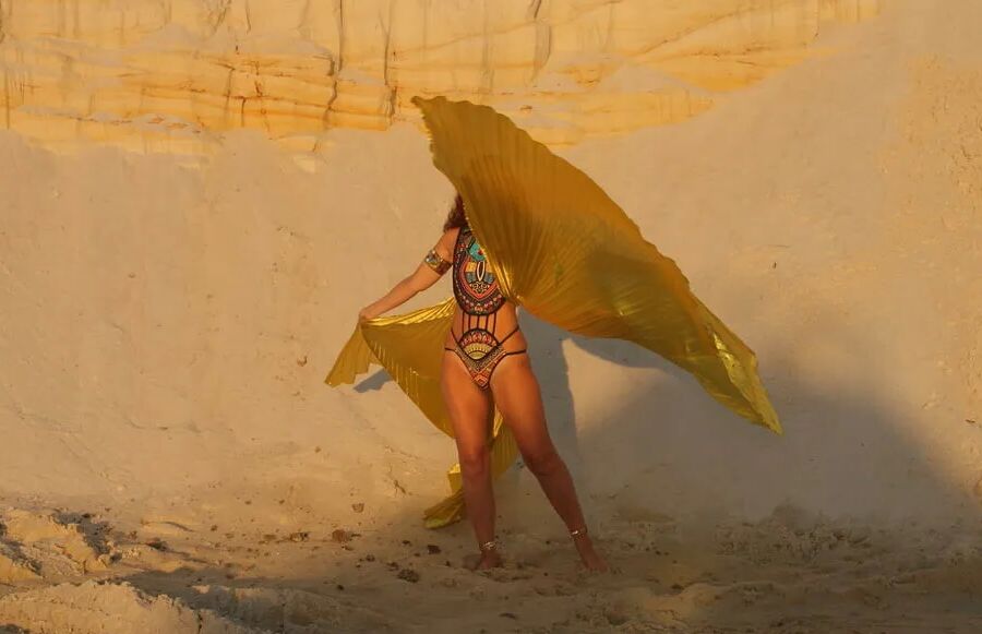 With Golden Wings on Setting Sun