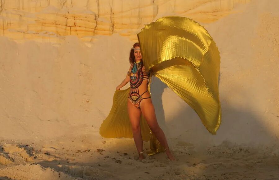With Golden Wings on Setting Sun