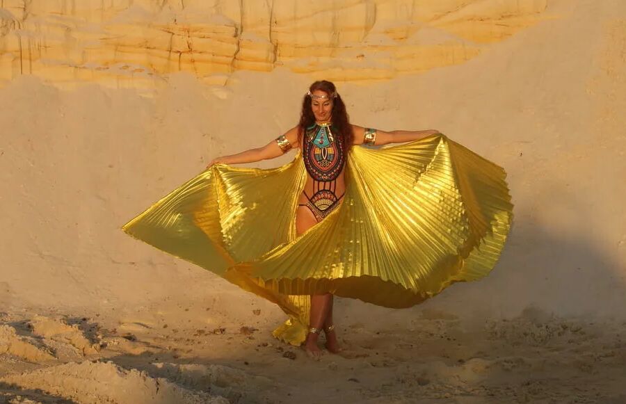 With Golden Wings on Setting Sun