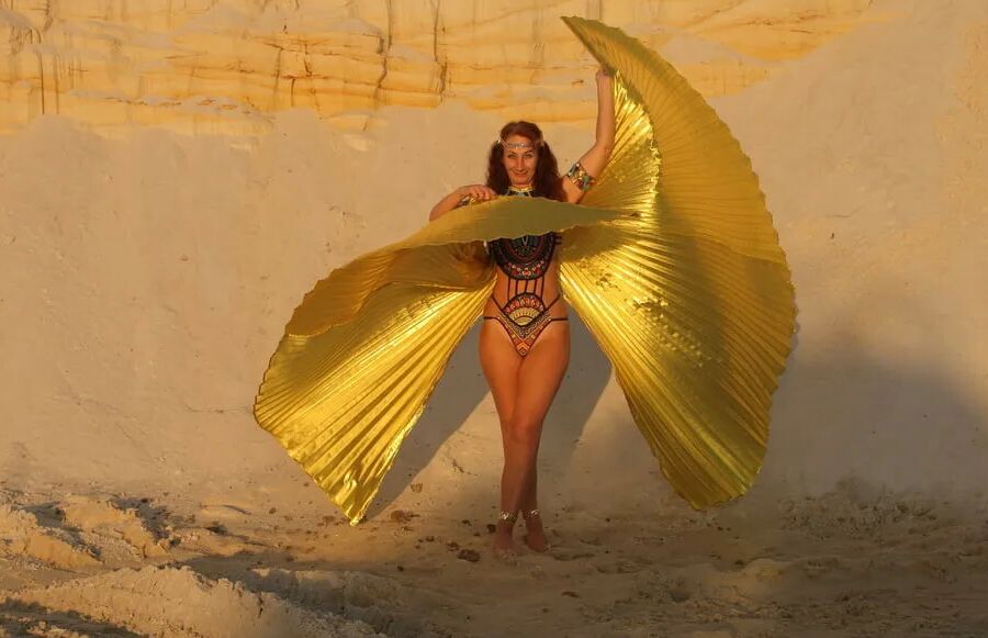 With Golden Wings on Setting Sun