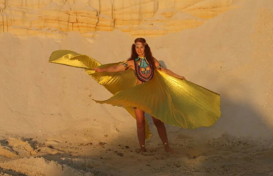 With Golden Wings on Setting Sun