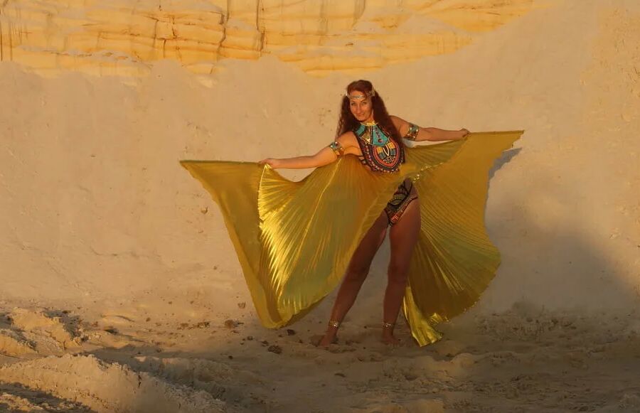 With Golden Wings on Setting Sun