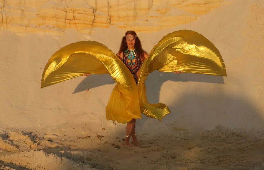 With Golden Wings on Setting Sun