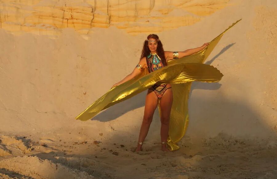 With Golden Wings on Setting Sun