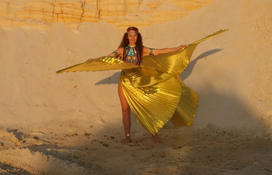 With Golden Wings on Setting Sun