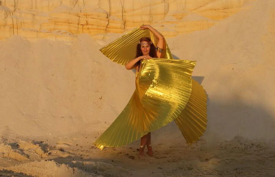 With Golden Wings on Setting Sun