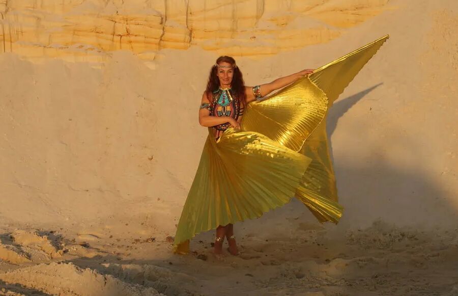 With Golden Wings on Setting Sun