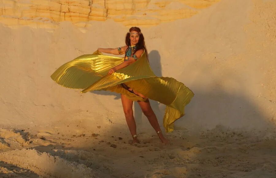 With Golden Wings on Setting Sun