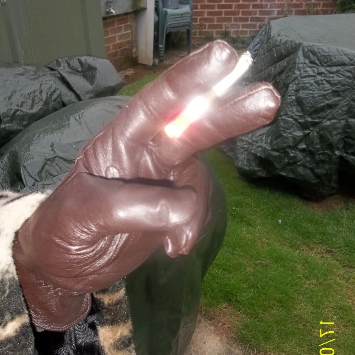 SHIRLEY SLUT 269