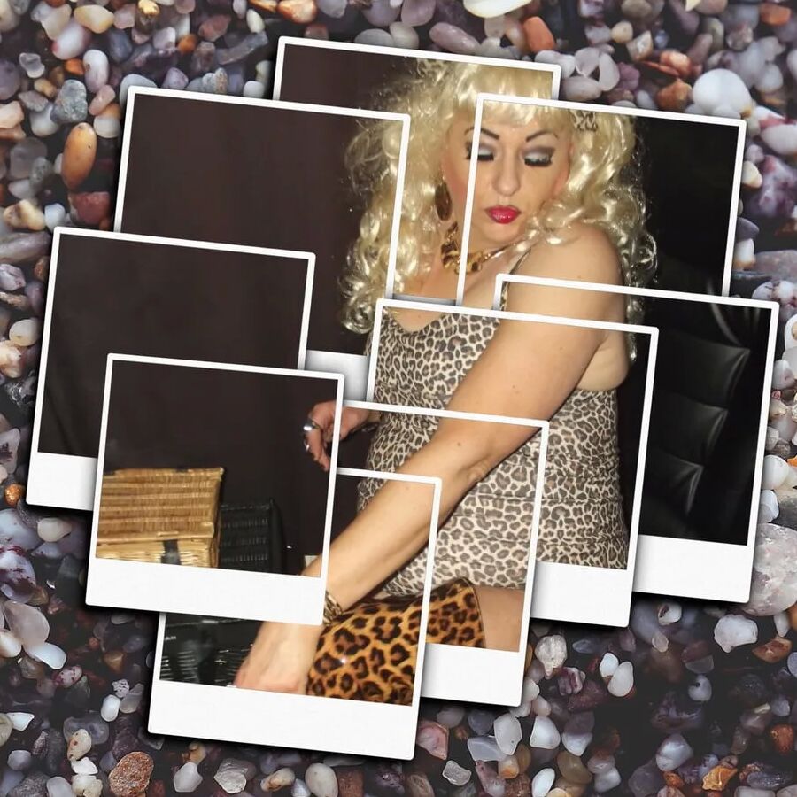 SLUT SHIRLEYS POLAROID PT 5
