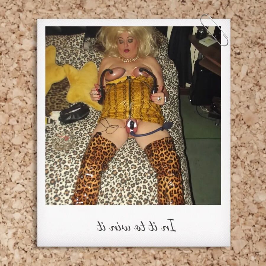 SLUT SHIRLEYS POLAROID PT 5