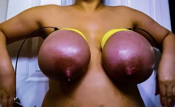Hucow milking