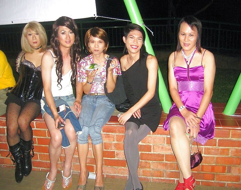 Shemales crossdressing transsexual