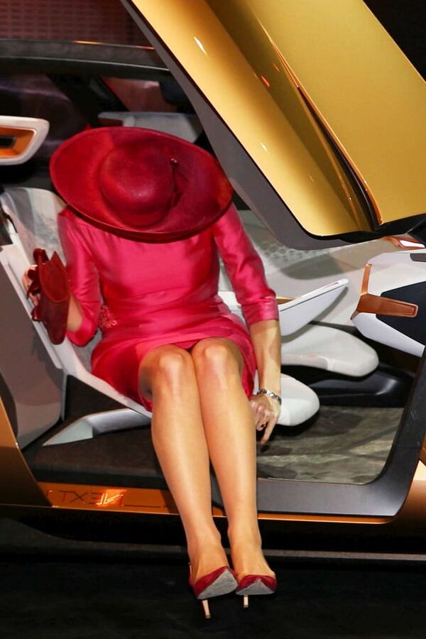 Royal Nyloness Queen Maxima