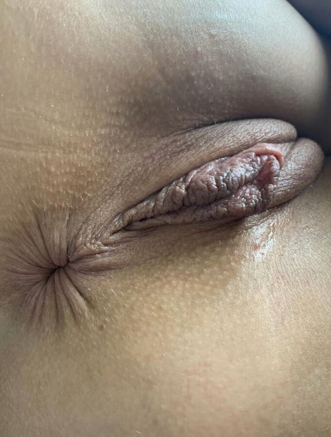 Amateur Assholes