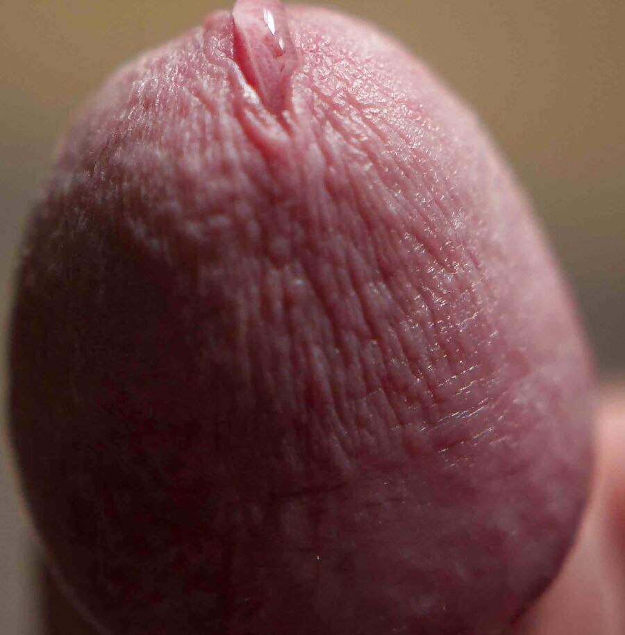 My Cock x