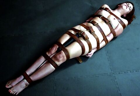Hot kinky lesbians