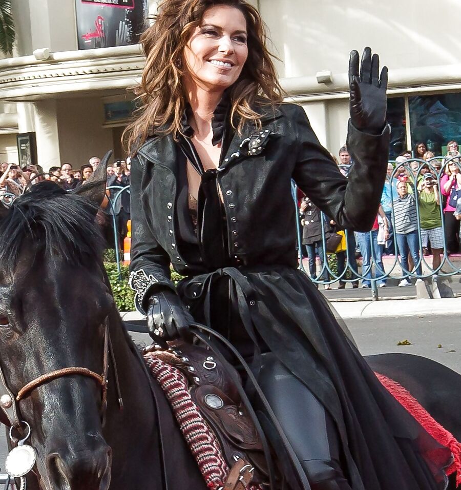 Shania Twain - some nice fakes mixed in