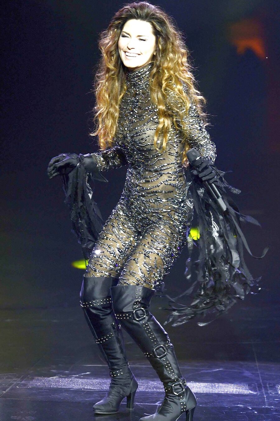 Shania Twain - some nice fakes mixed in