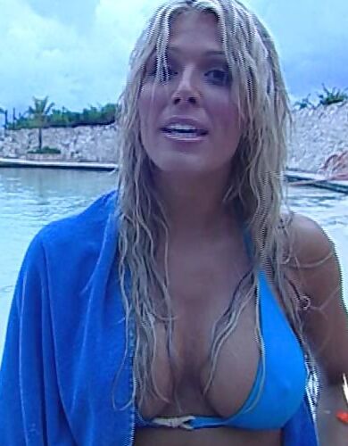 Torrie Wilson mega collection