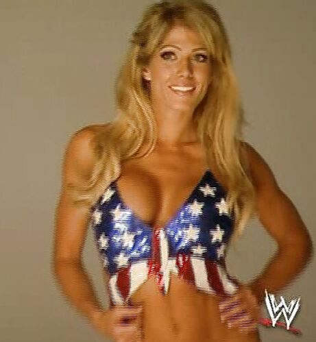 Torrie Wilson mega collection