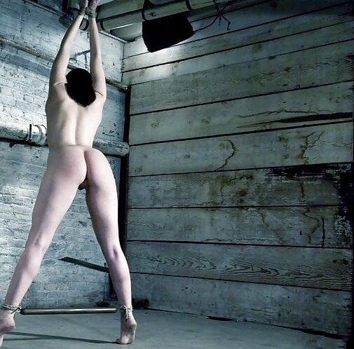 BDSM Institute : displayed for doggy