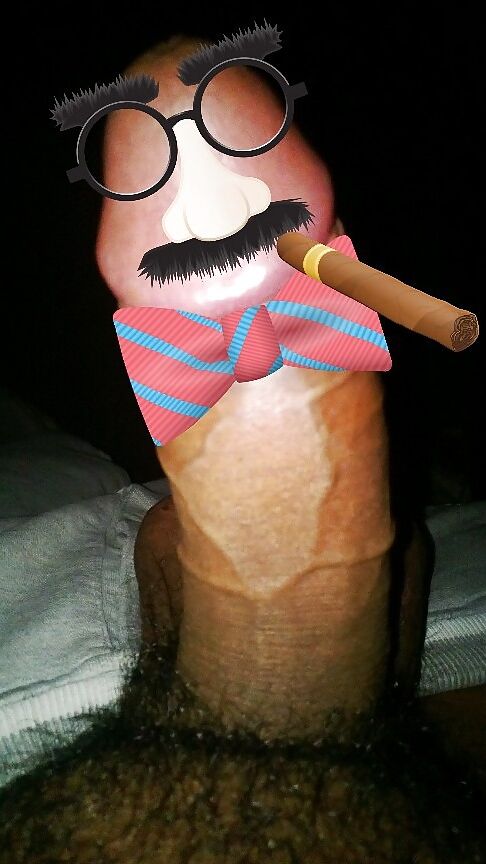 Mr nice guy