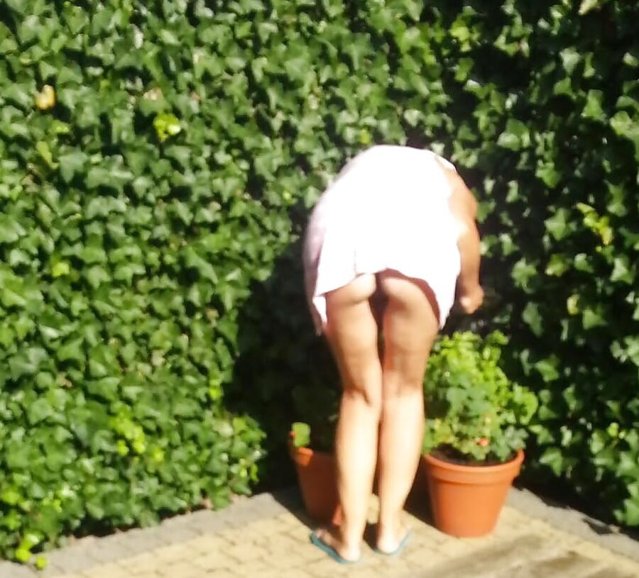 Matures in garden or yard