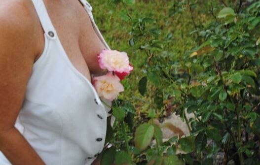 Matures in garden or yard