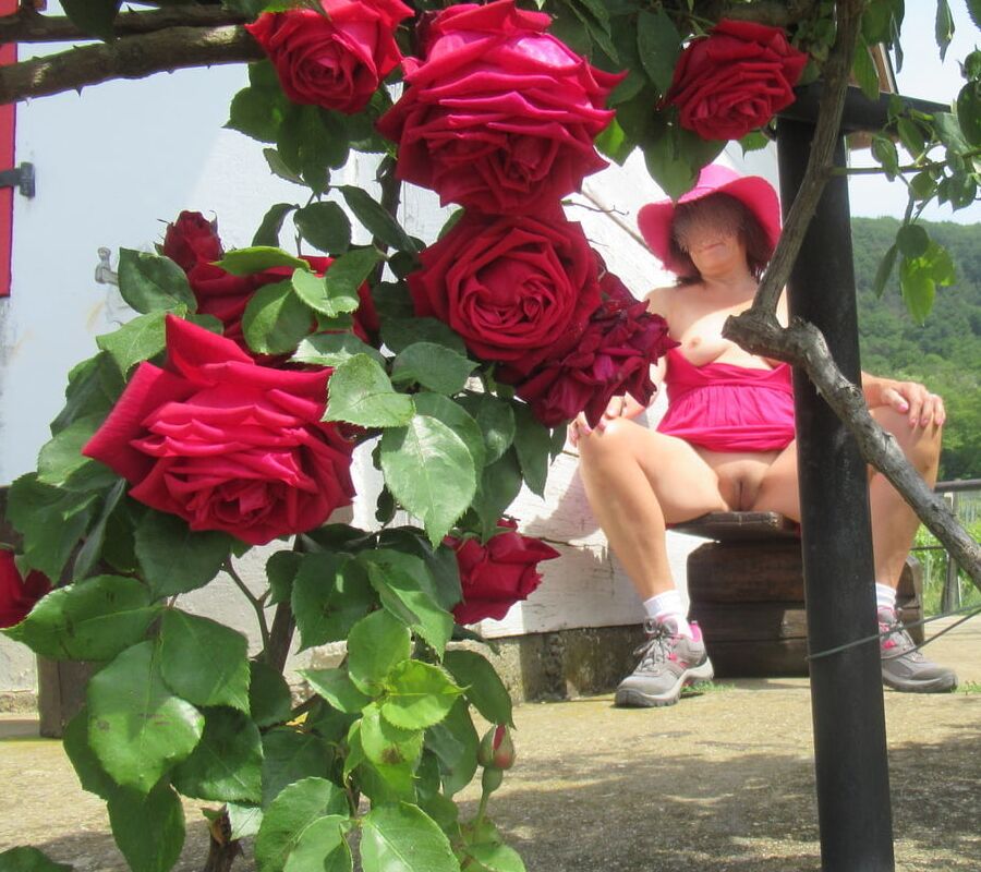 Matures in garden or yard