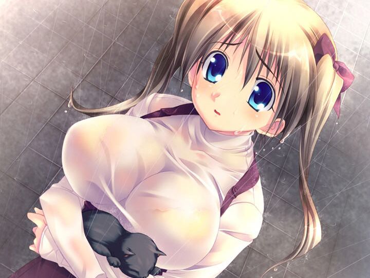 Gorgeous young busty hentai lesbians try out cock