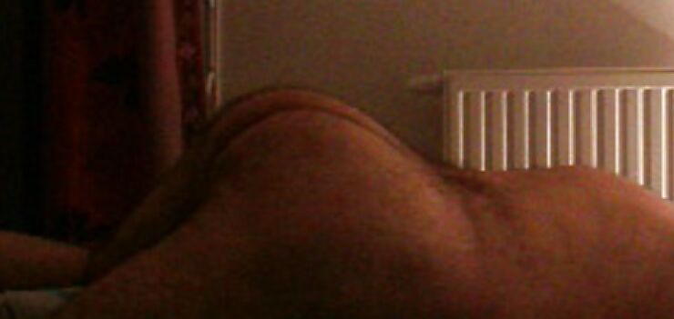 ASSES FOR YOU...