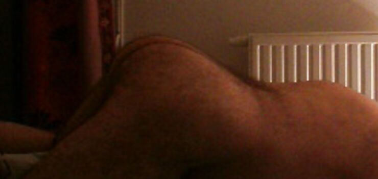 ASSES FOR YOU...