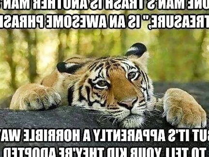 Just for lulz