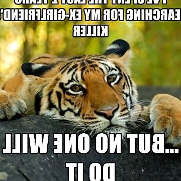 Just for lulz