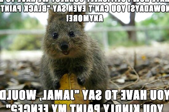 Just for lulz