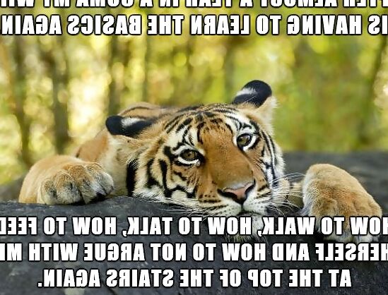 Just for lulz