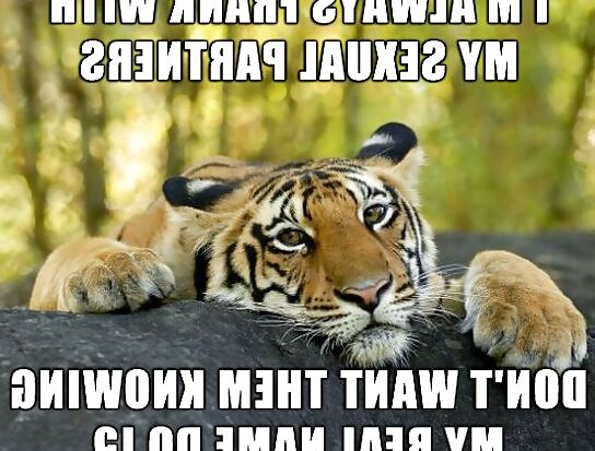 Just for lulz