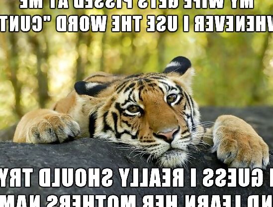 Just for lulz