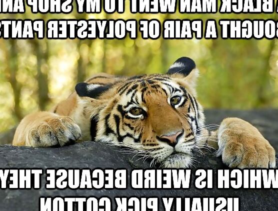 Just for lulz